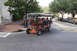 Savannah Photo Gallery