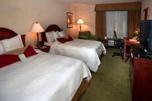 Hilton Garden Inn Savannah Airport bedroom